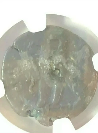 Ptolemaic Kingdom Ptolemy VI & Ptolemy VIII AE19 Joint Reign 170-164/3 BC NGC VF