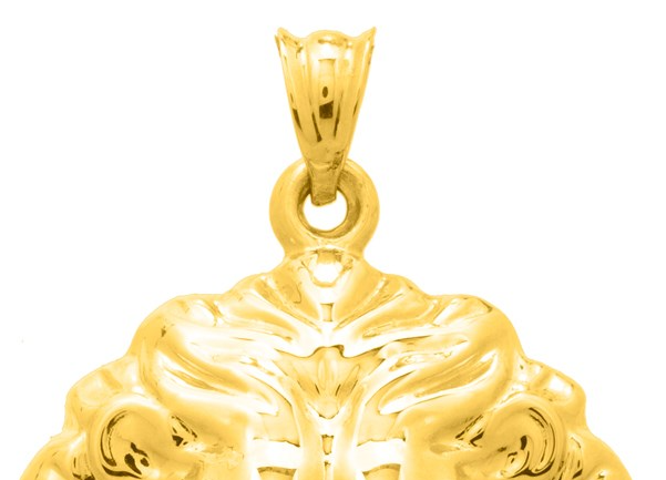 Lions Head Pendant in 14K Yellow Gold RC