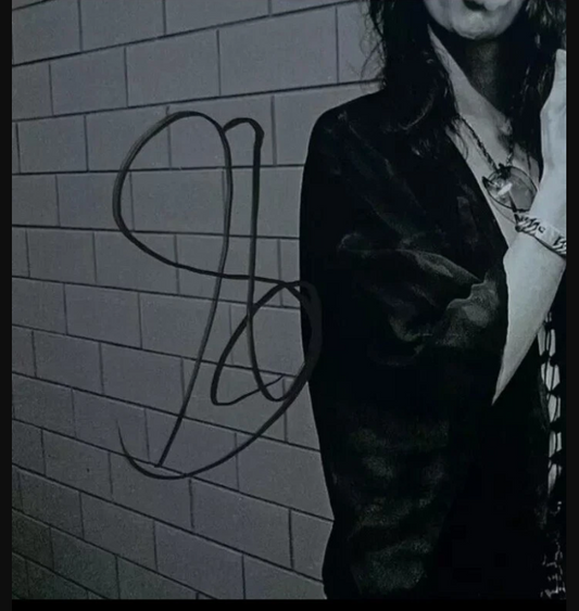 Steven Tyler Autographed Signed 8x10 Photo AEROSMITH Singer BECKETT COA