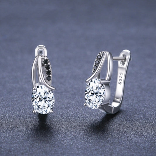 Ships from The United States - Zircon Rhinestone Stud Earrings Silver - Goldz.vip
