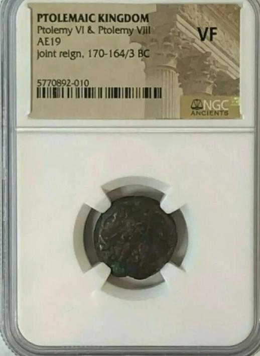 170-164/3 BC Ancient Egypt Coin Ptolemaic Kingdom Ptolemy VI & Ptolemy VIII AE19