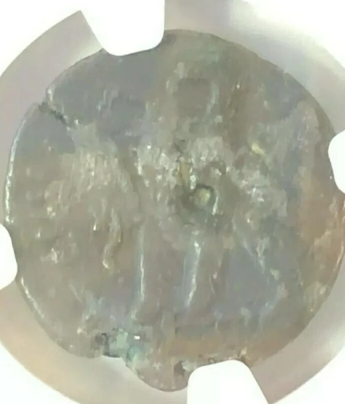 170-164/3 BC Ancient Egypt Coin Ptolemaic Kingdom Ptolemy VI & Ptolemy VIII AE19