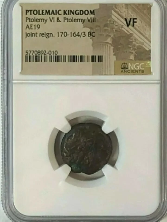 Ptolemaic Kingdom Ptolemy VI & Ptolemy VIII AE19 Joint Reign 170-164/3 BC NGC VF