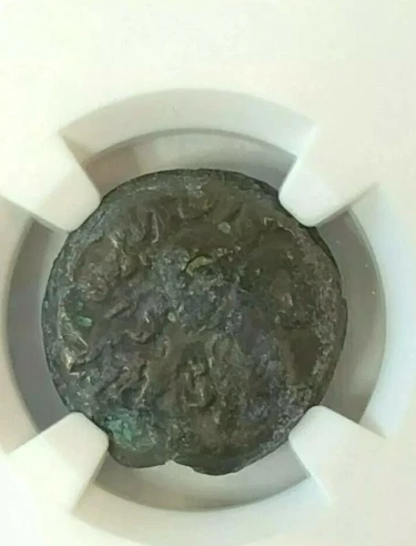 Ptolemaic Kingdom Ptolemy VI & Ptolemy VIII AE19 Joint Reign 170-164/3 BC NGC VF