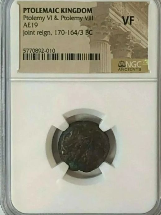Ptolemaic Kingdom Ptolemy VI & Ptolemy VIII AE19 Joint Reign 170-164/3 BC NGC VF