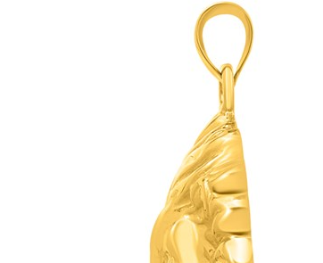 Lions Head Pendant in 14K Yellow Gold RC